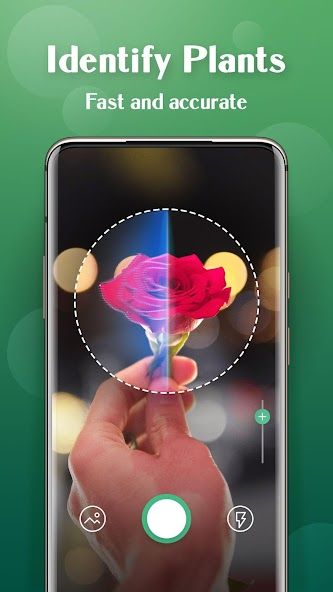 Plant Lens Plant identifier スクリーンショット