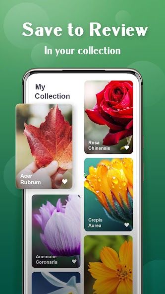Plant Lens Plant identifier スクリーンショット
