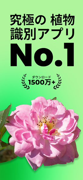 PlantSnap - 花やハーブの写真で識別 スクリーンショット