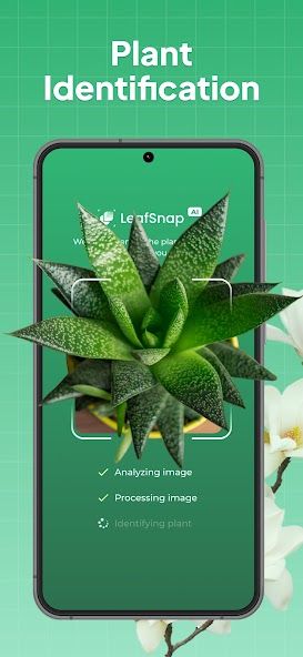 LeafSnap Plant Identification スクリーンショット