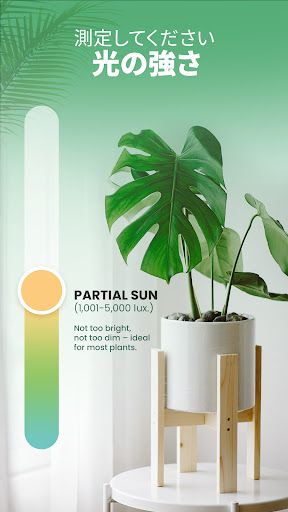 Blossom - 植物や花の名前を認識しましょう スクリーンショット