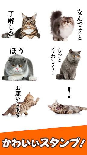 猫スタンプ（実写スタンプ） スクリーンショット